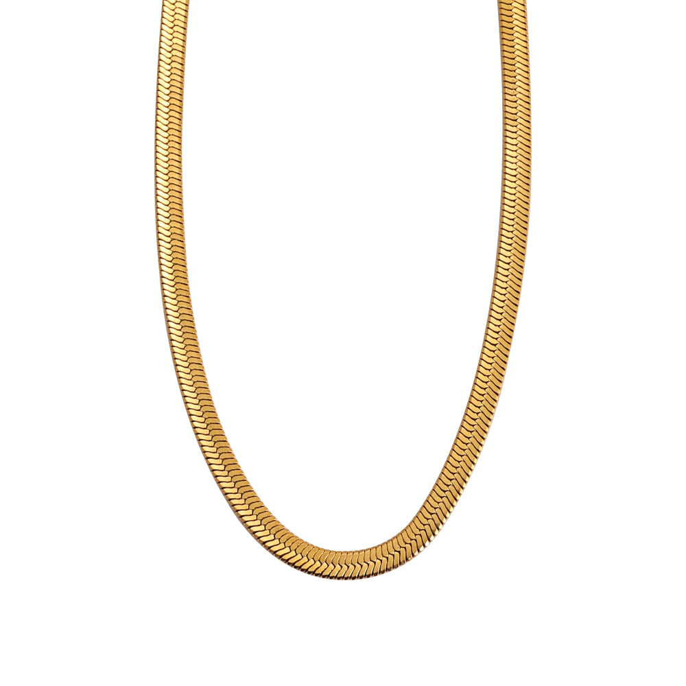 3be7765682b389068686d8d767806581